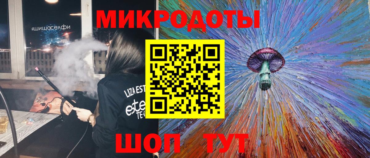 Псилоцибиновые грибы Psilocybe Оренбург